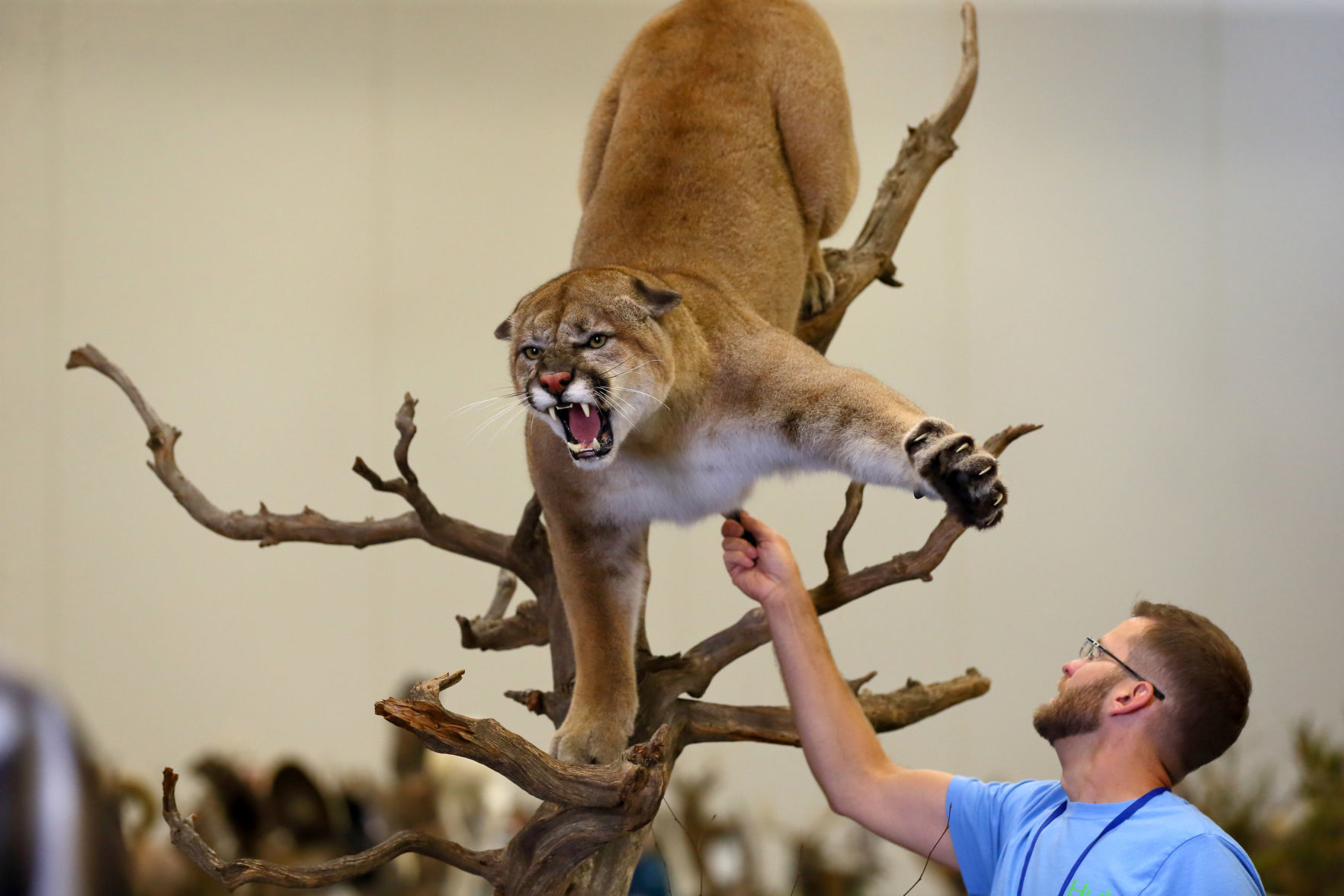 2019 World Taxidermy & Fish Carving Championships in Springfield, Mo.